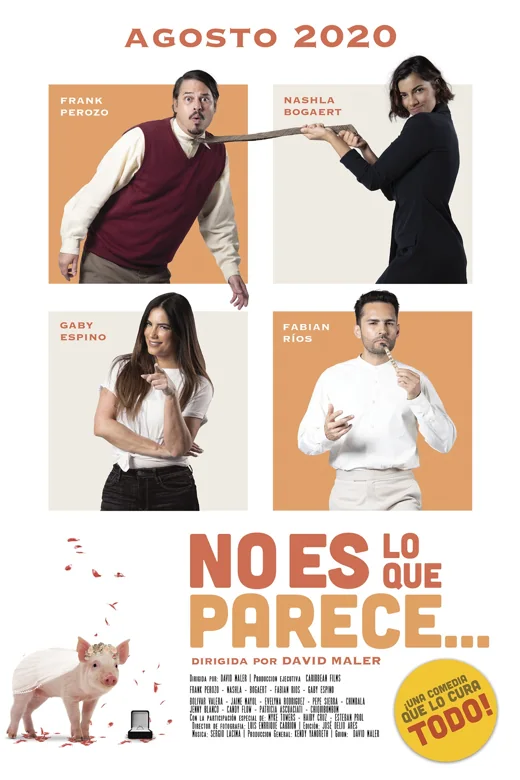 Portada de No es lo que parece